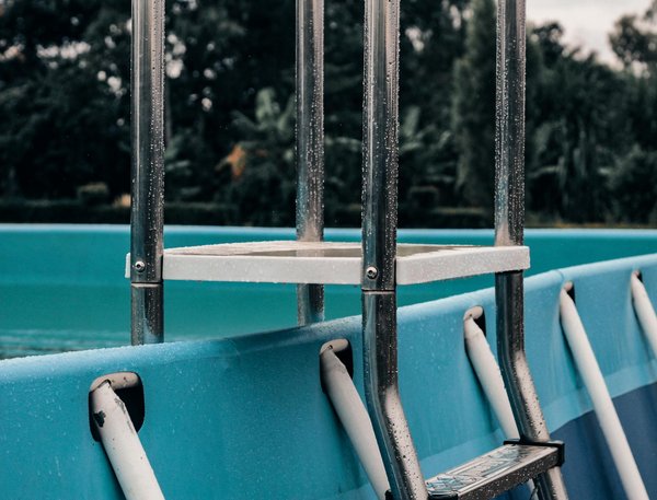 Quels sont les différentes façons de tailler des arbres ?