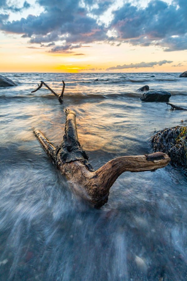 Qu'est-ce qu'un poêle à granulés ?